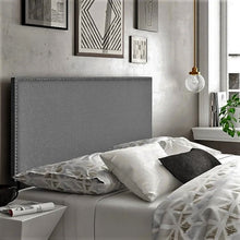 Timothy  Midi Econo x 3 ONLY