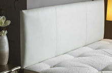Storm - Headboards For Africa 